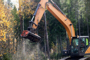 Land Clearing